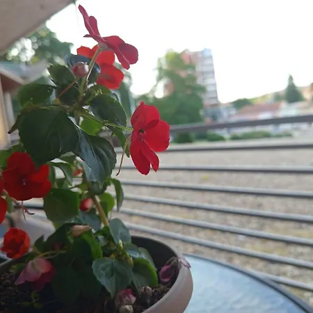 Parkside Аранделовац